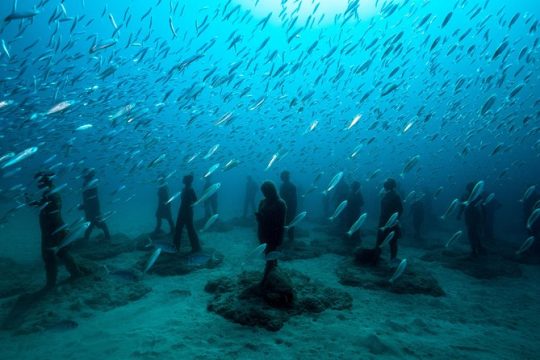 Museo Atlantico for non-certified divers