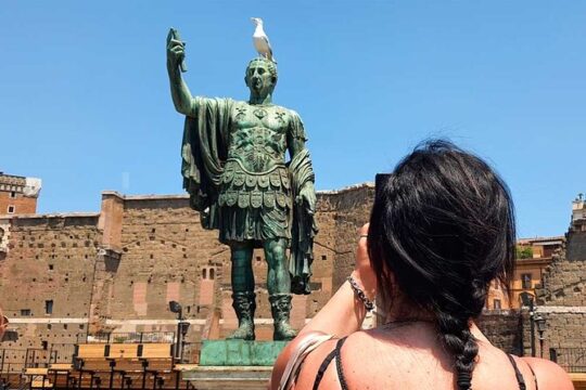 Imperial Forums Special Pass Palatine Hill and Emperors' Palace Private Tour