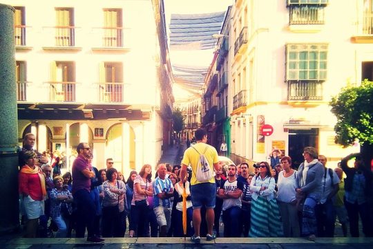 Cultural Walking Tour of Seville Monumental