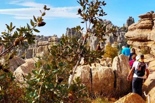 Antequera and Torcal small group tour with pick up