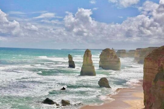 Private Premium Great Ocean Road with Lunch & Wildlife spotting