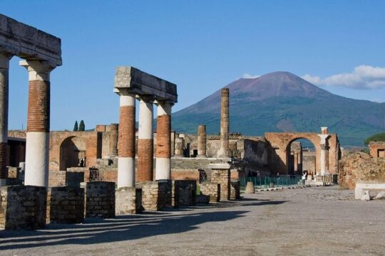 Pompeii Ruins & Hercualenum with Lunch & Wine Tasting from Rome