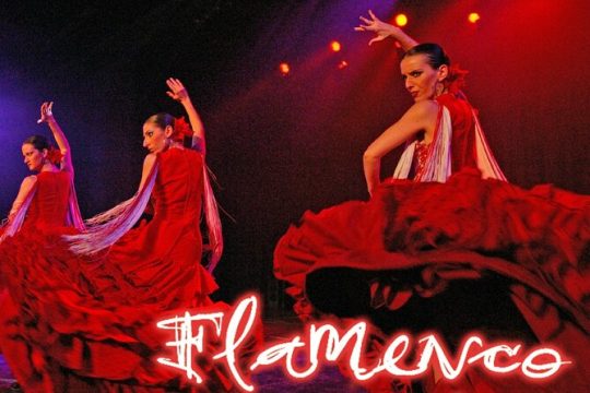Flamenco Show at the Coliseo theater in San Miguel