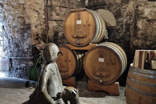 Montepulciano Wine Tasting Private Tour from Rome