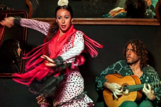 Flamenco, Tapas and Horse Drawn Carriage.