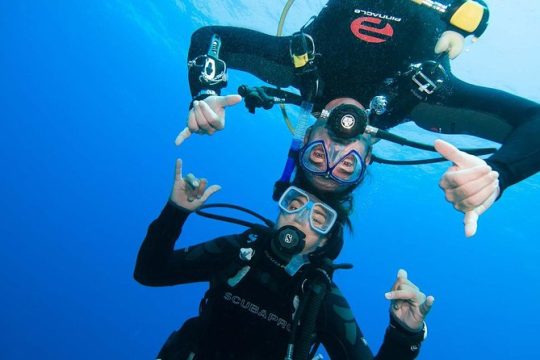 Basic Diver course for beginners with 1 dive in the Ocean