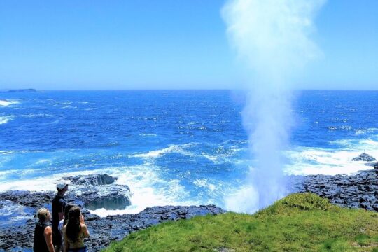 Erupting Blowholes and Ancient Rainforests SOUTH COAST OF SYDNEY PRIVATE TOUR