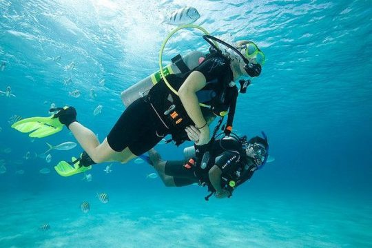 Discover Scuba Diving with two dives in the Ocean in Tenerife with Transfers