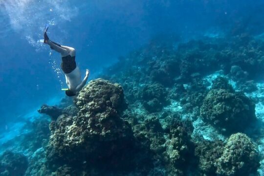 The most exciting Snorkel Tour at El Cielo reef. Discover the sky in the sea.