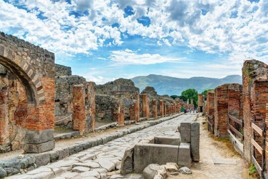 Day Trip from Rome: Pompeii and Sorrento - Private Tour
