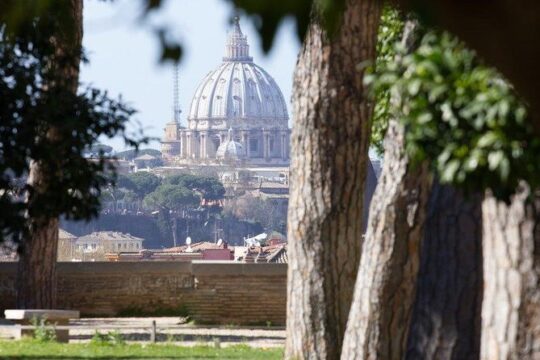 The Top Highlights of Rome Private Tour By Car Pick-up & Drop-off