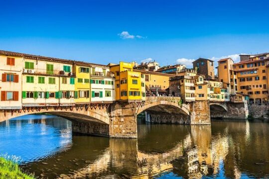 Day trip from Rome: Florence and Pisa in a day - private tour