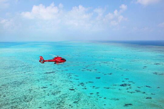 Great Barrier Reef or Rainforest Scenic Flights from Port Douglas