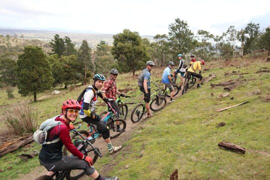 Mountain Bike Day Tour, 2 locations, 4 hrs riding, Holgate's Brewery lunch