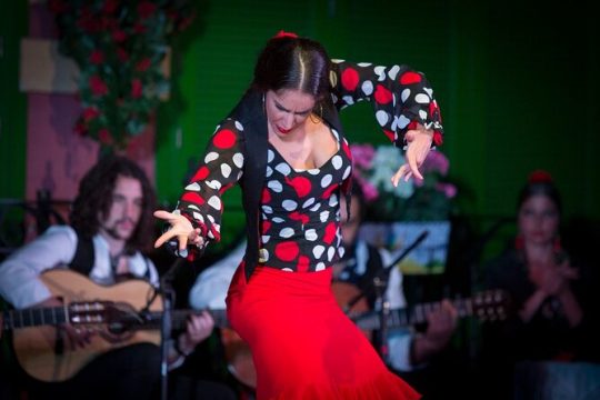 Admission Ticket to 'Only Flamenco' Show