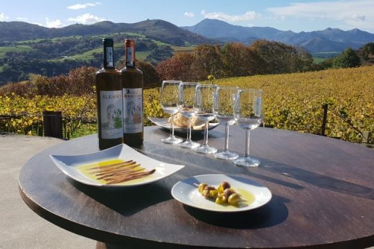 Private txakoli winery tour with tastings in Getaria