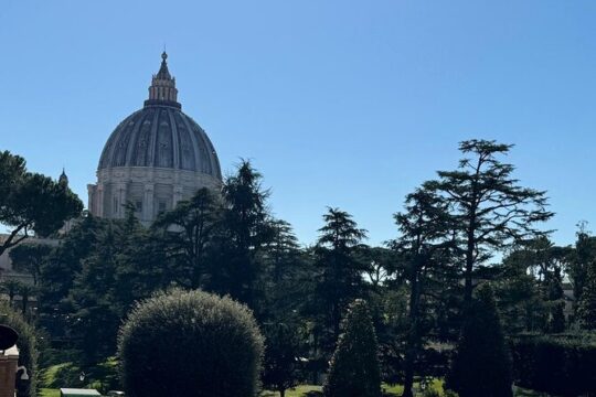 Skip the line Tour of the Vatican,Sistine Chapel & Basilica Entry