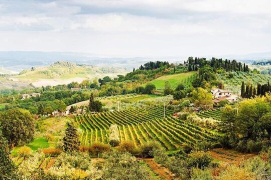 Private day trip to Orvieto and Umbria Region from Rome