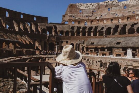 Small Group Colosseum Arena Tour + Palatine Hill & Roman Forum