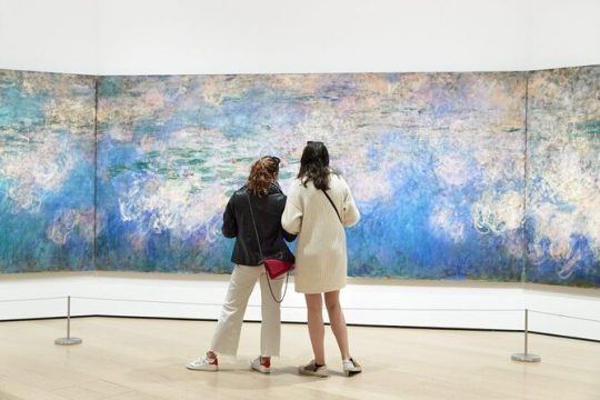The Museum Of Modern Art and NYC 30+ Top Sights Walking Tour