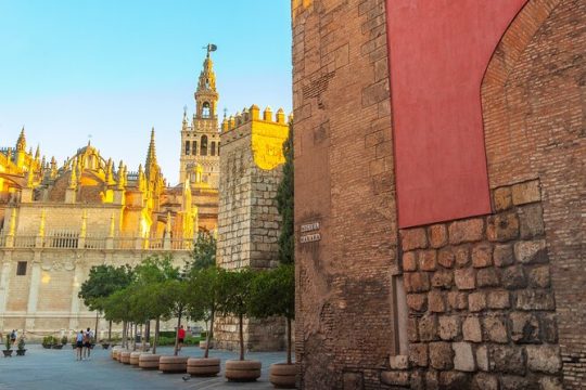 Guided walking tour of the Cathedral and Real Alcázar of Seville