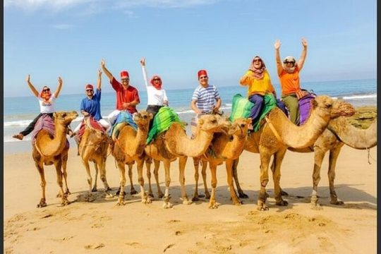 Authentic Private Tangier Tour from Estepona Camel Ride & Lunch