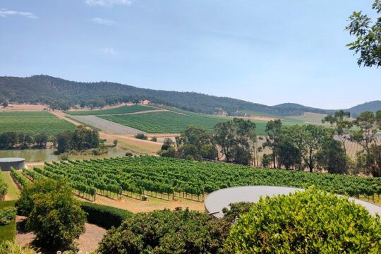 Yarra Valley Wine tour (Small groups)