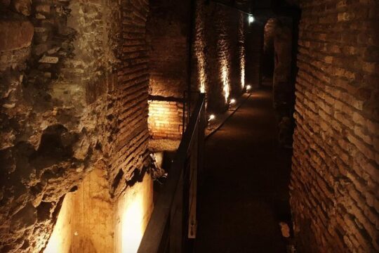 Piazza Navona Underground Full Experience with Audio Video Guide