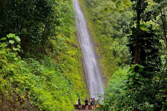 Private Tours Oahu featuring Manoa Falls Hike