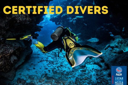 Scuba Diving for Certified Divers in Costa Adeje