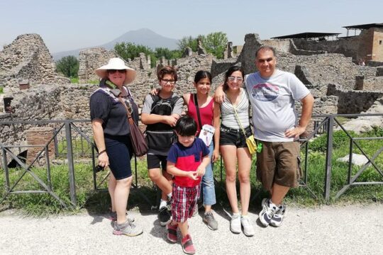 Skip the Line Rome to Pompeii Private Day Trip Hotel Pickup & Lunch at Winefarm