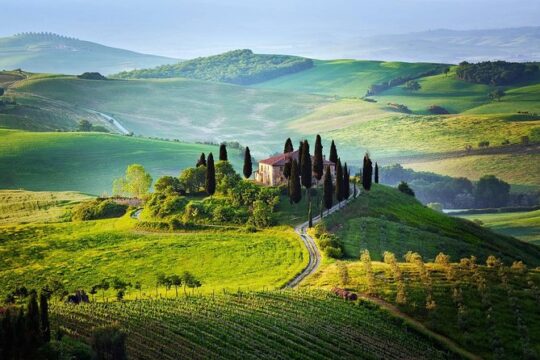 Tuscany from Rome , Montepulciano & Pienza with wine tasting and Lunch included