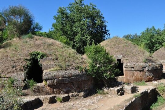 Full-Day Private Tour in Etruscan City of Cerveteri