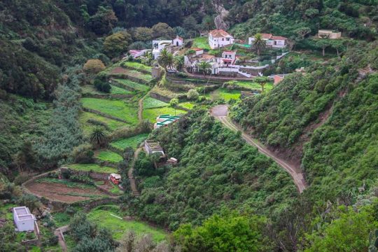 Private 6-hour Tour of La Laguna and Anaga Biosphere Reserve w/ Hotel pick-up