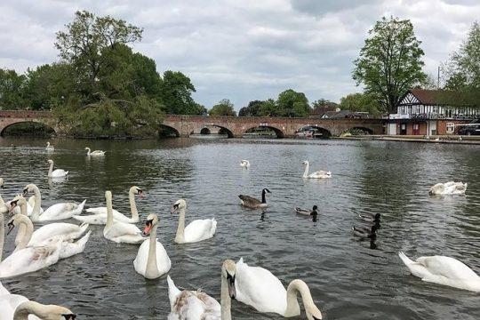 Private Full-Day Tour of Shakespeare's Stratford-Upon-Avon
