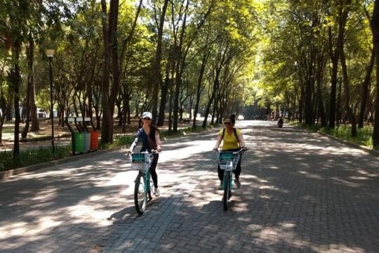 The best of Mexico City Bike Experience EXPRESS