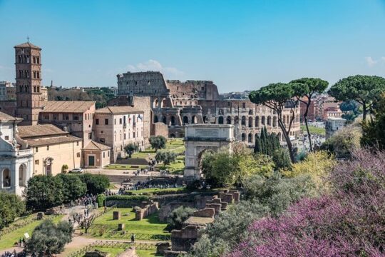 Private Tour of the Colosseum with Roman Forum & Palatine Hill