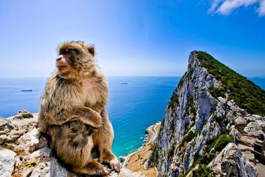 *Private Day Trip* Gibraltar and Bolonia from Jerez