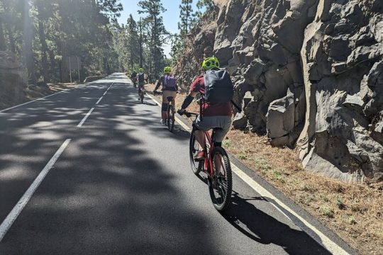 Biking Adventure from Teide to sea with wine and cheese tasting