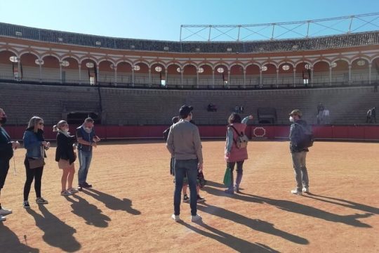 Seville Bullring: Guided Tour with Direct Entry