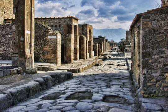 Pompeii SkipTheLine Fullday with Lunch Wine Tasting from Rome