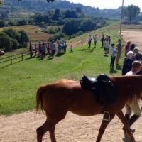 Horseback Riding