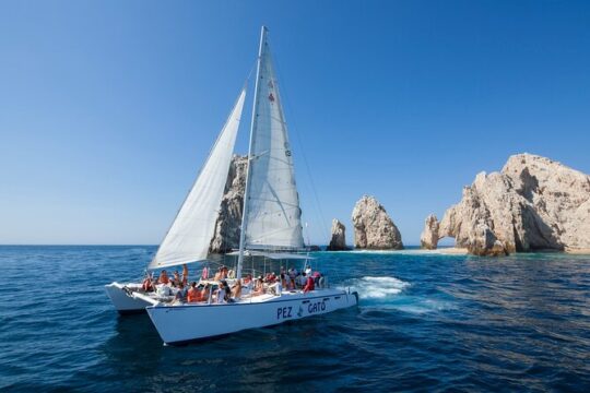 Cabo's Premier Catamaran Snorkeling Cruise: Explore the Waters!