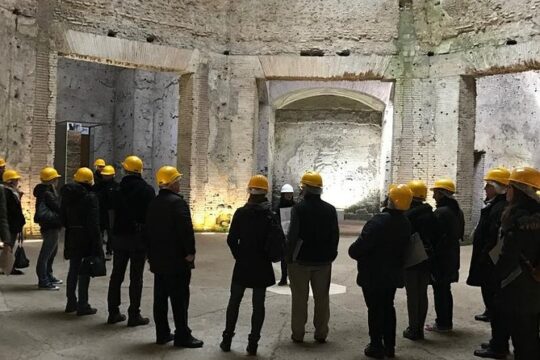 Nero's Golden House restoration site tour