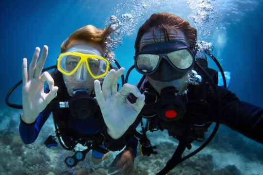 Discovery Scuba in Waikiki Under Water Adventures