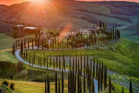 One Day Private Wine Tour In Tuscany From Rome