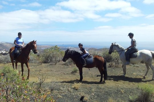 Relaxing Horse Riding Tour in Gran Canaria