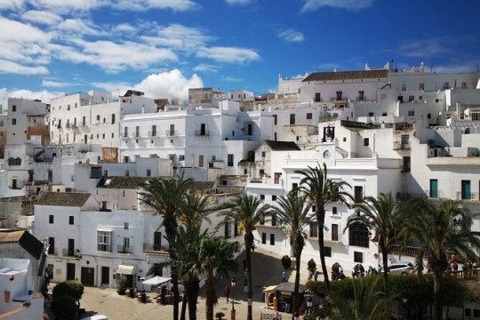Coastal White Villages and beaches private day trip from Seville