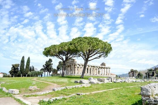 Tour in the ruins of Paestum with an archaeologist