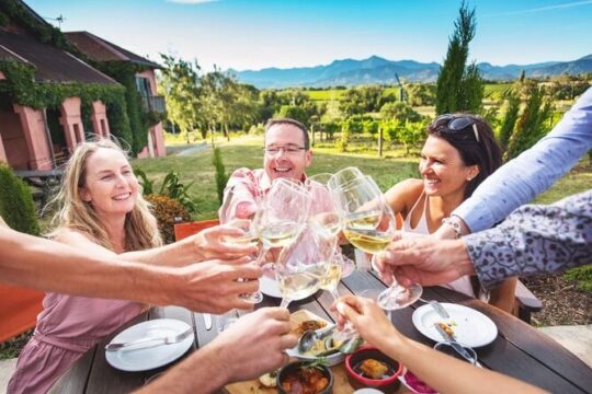Cheeky Vino | Wine Tour in Yarra Valley (Private Tour)
